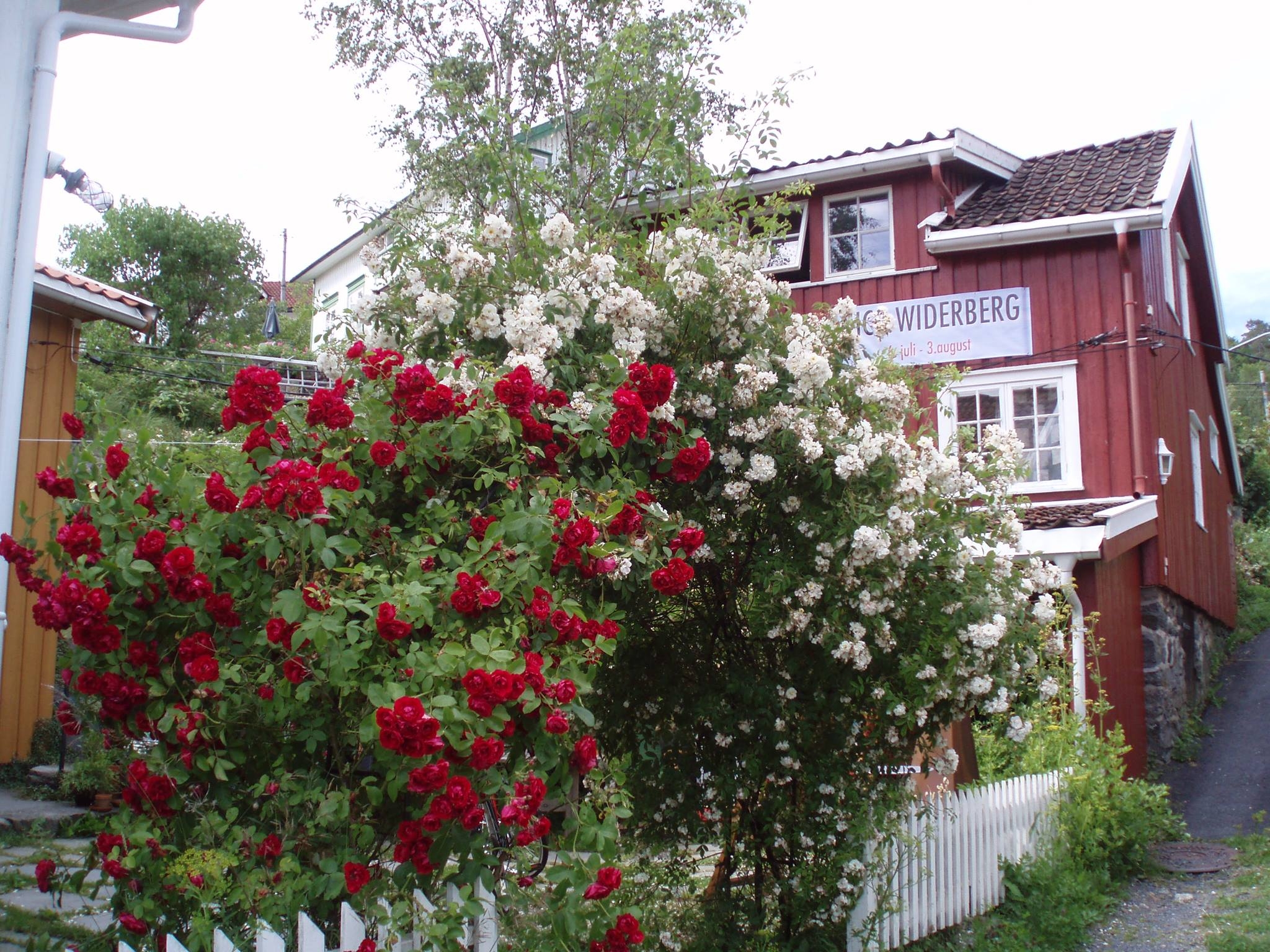 Galleri Sagesund