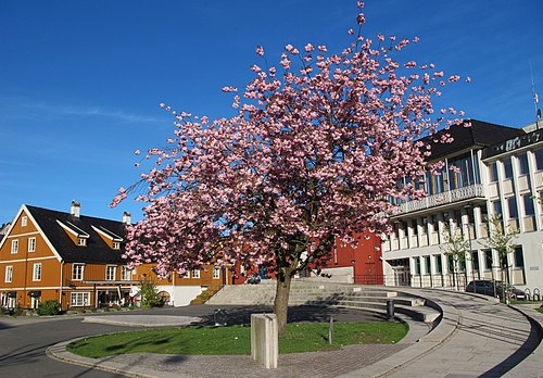 Kulturkammeret