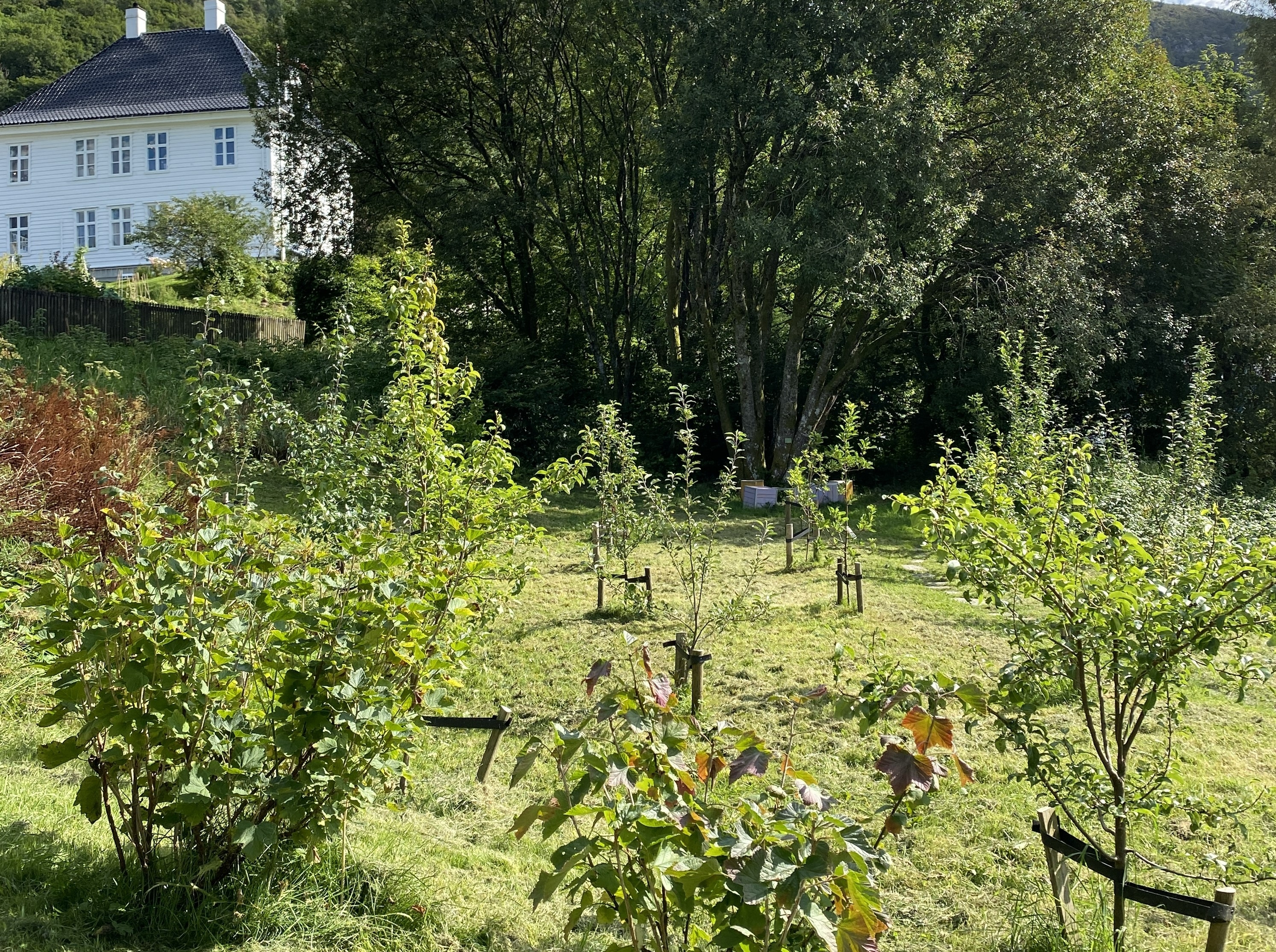 Frukthagen på Landås
