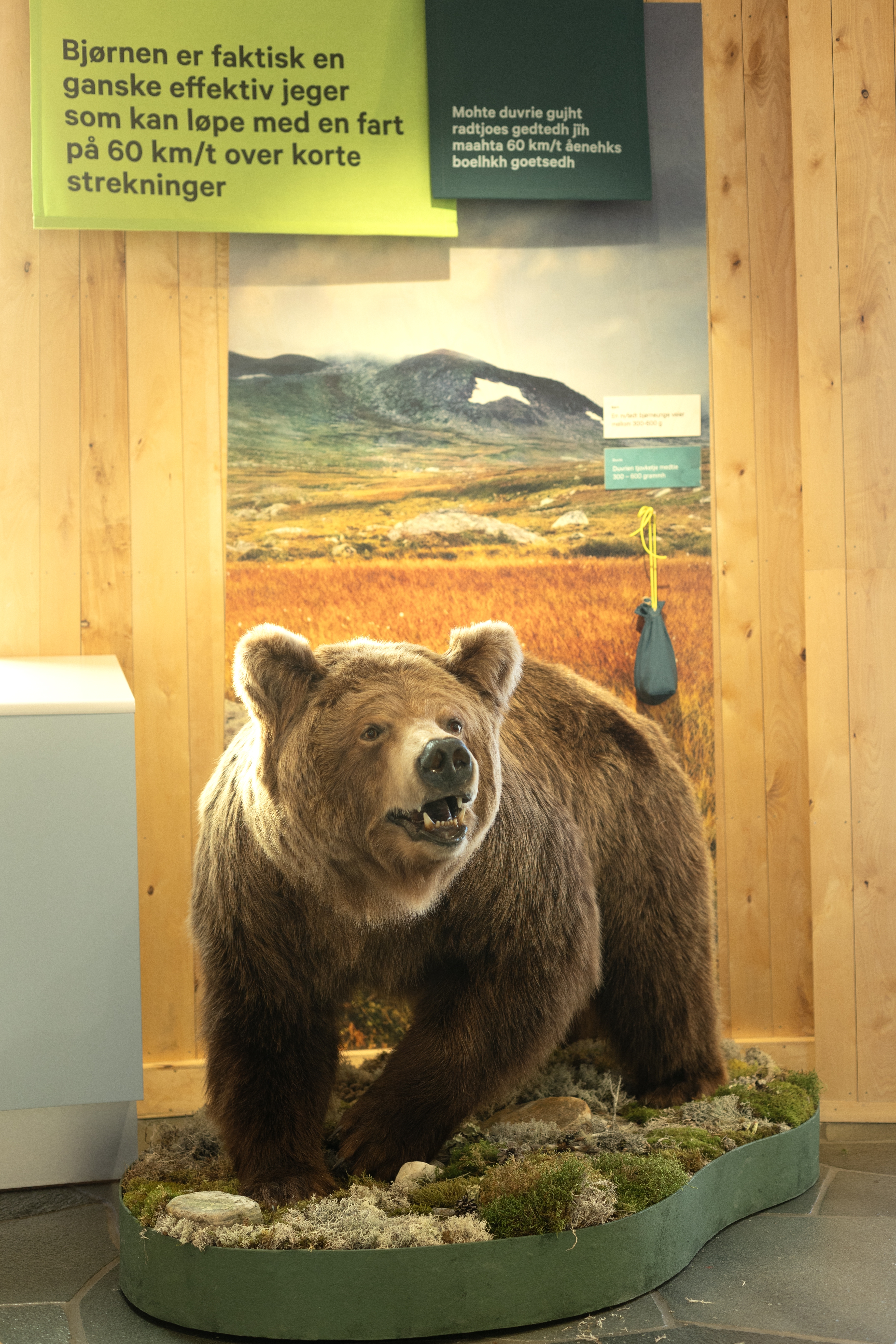 Besøkssenter Nasjonalpark Lierne