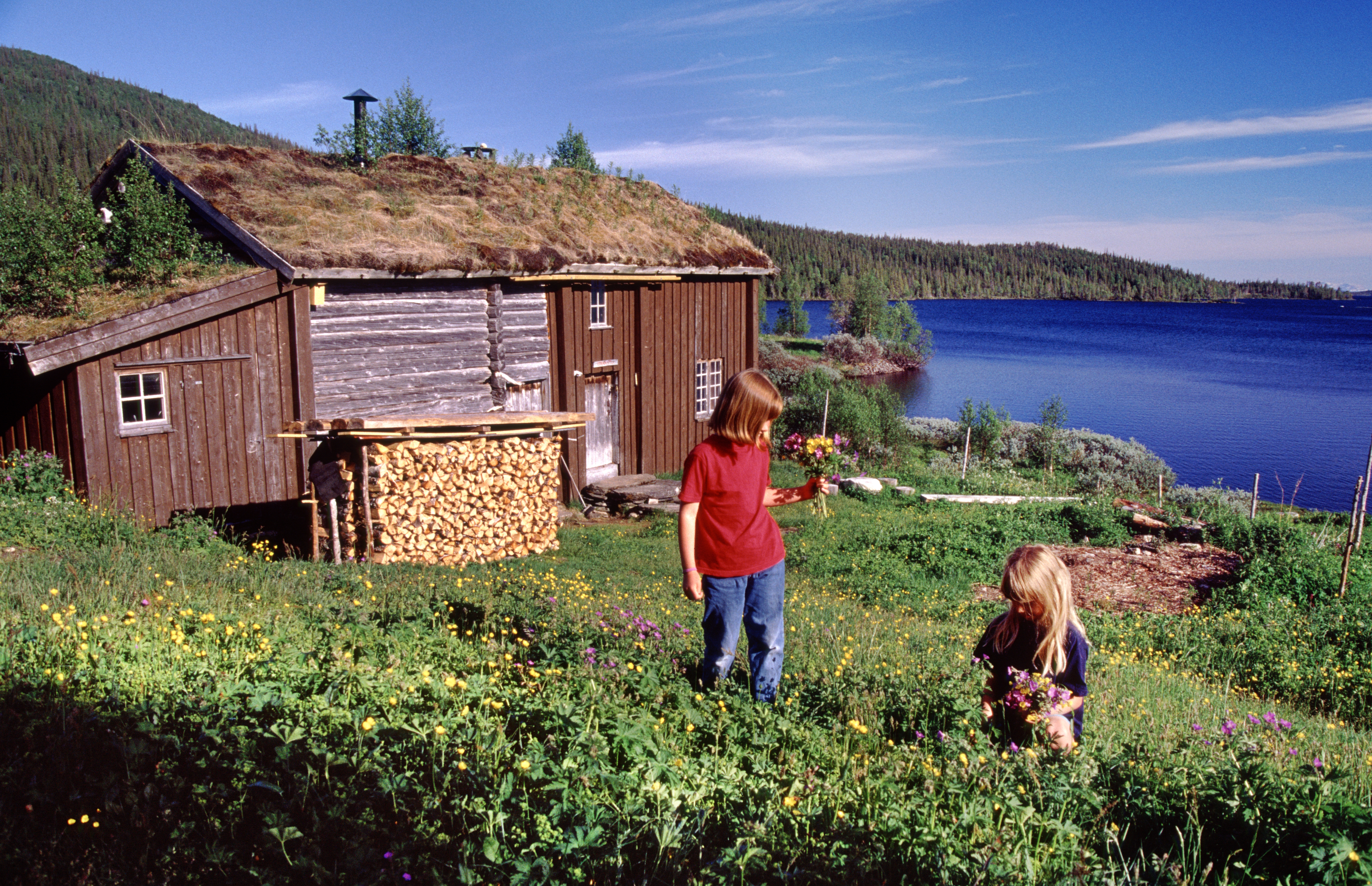 Holden fjellgård