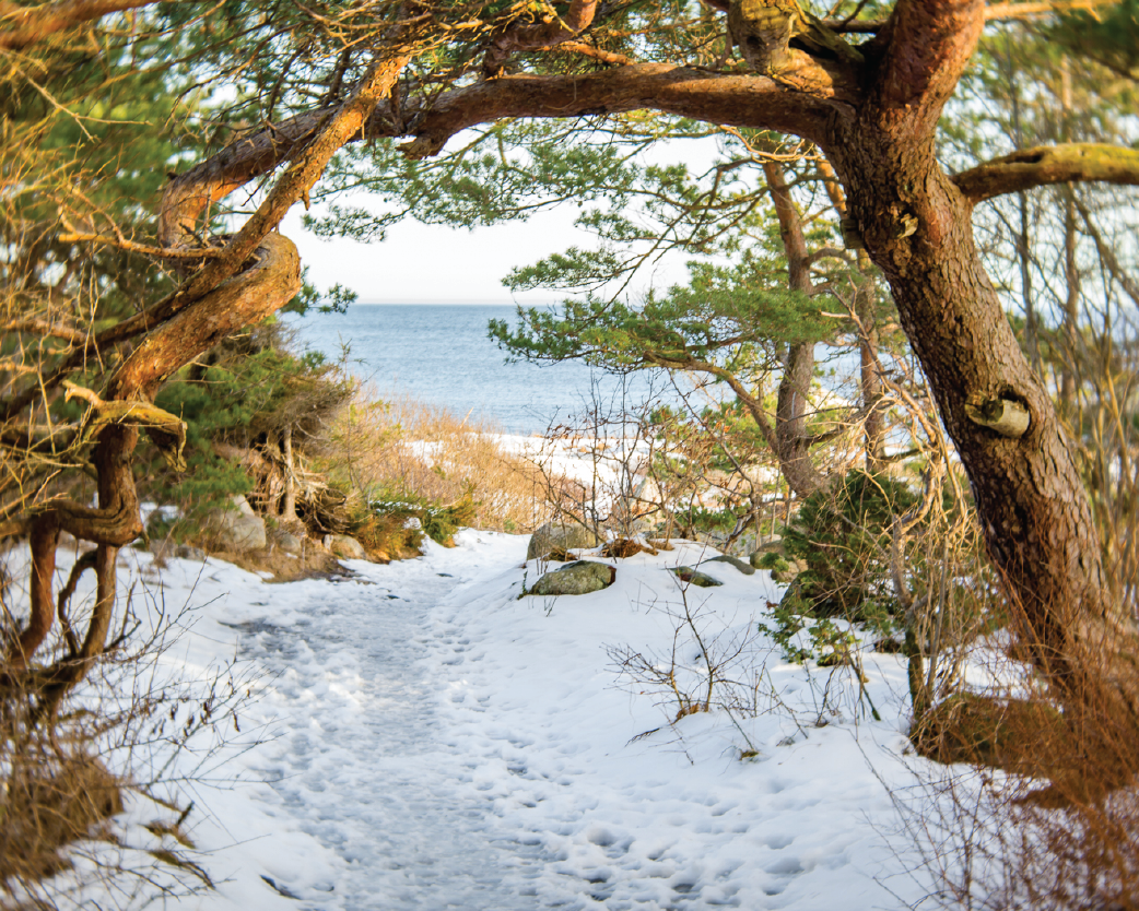 Bjellandstrand