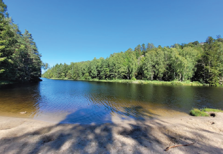 Ribbervann