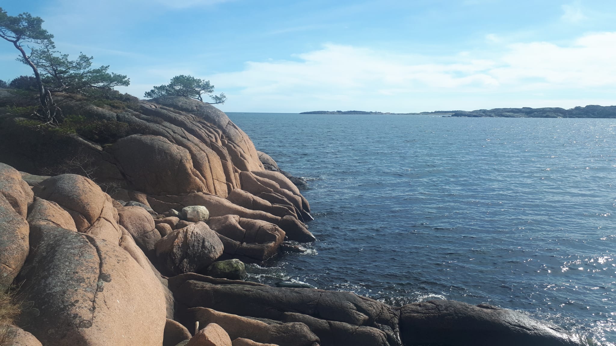 Risøy
