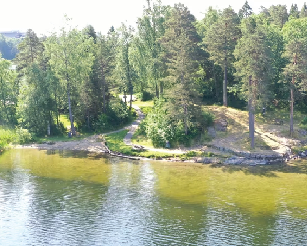 Sørsvann