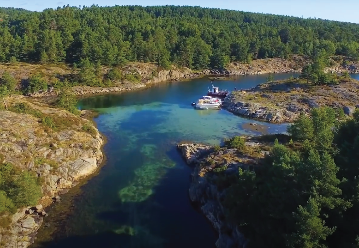 Skinnfellholmen