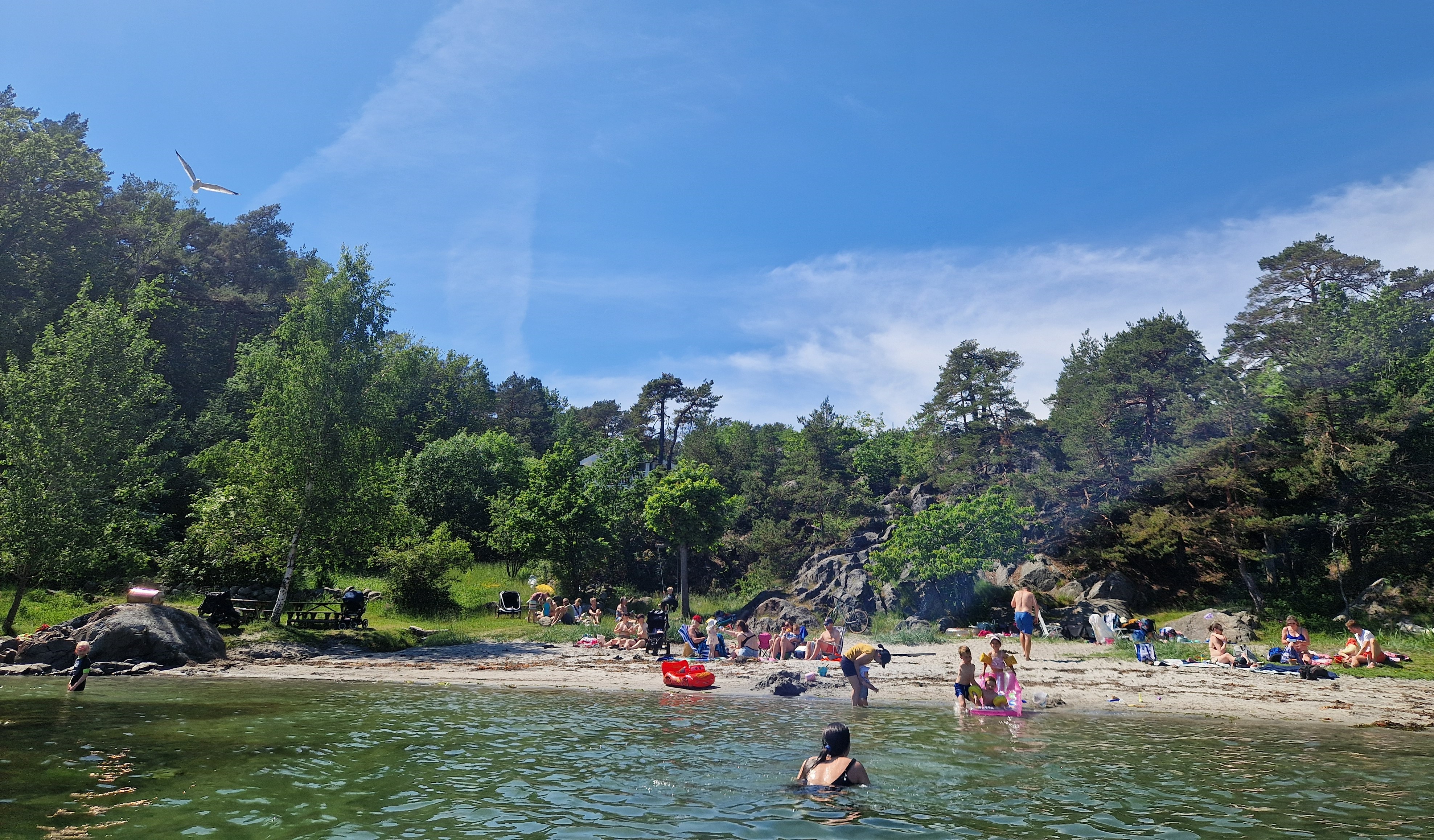 Bukkeviga