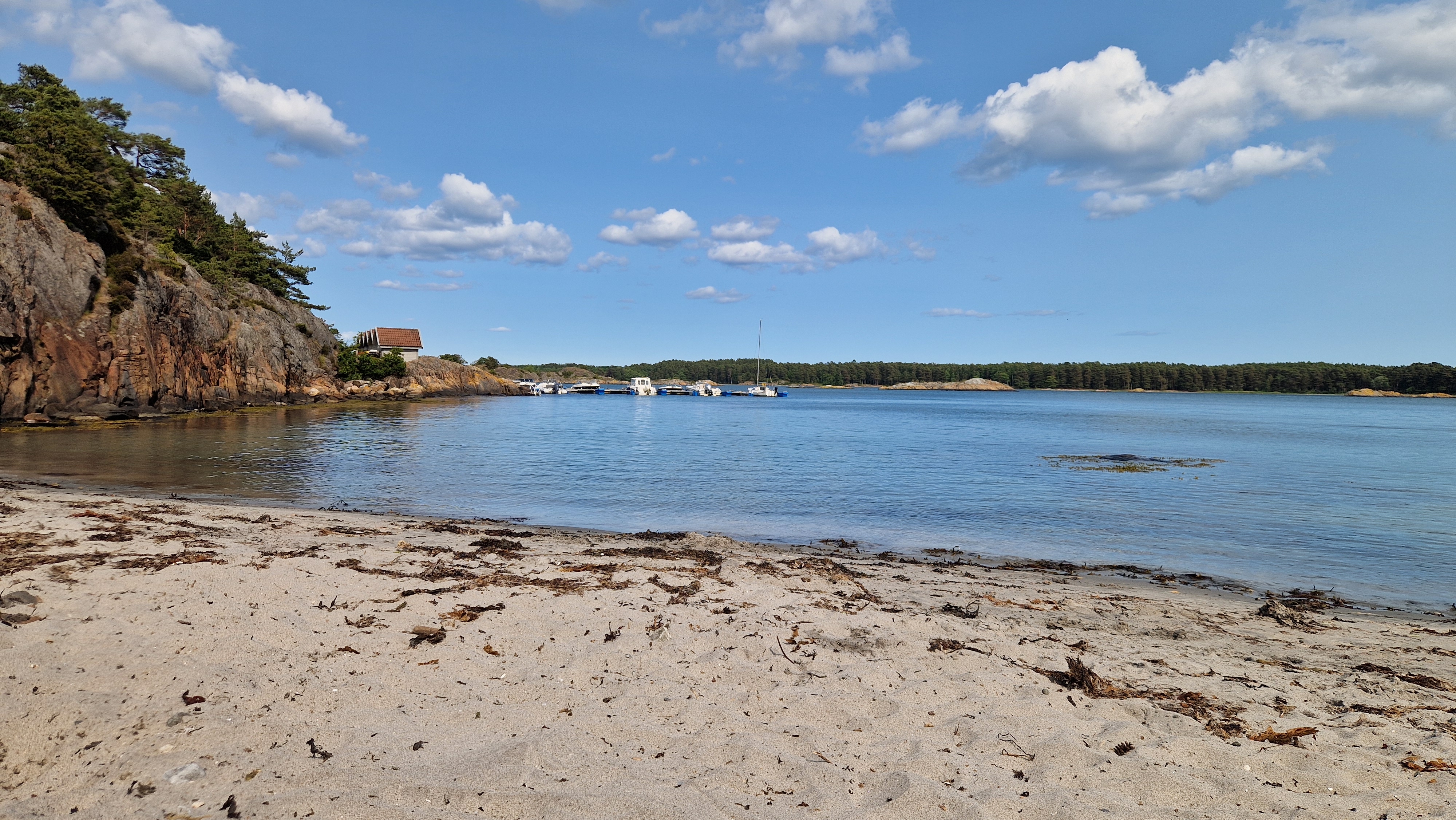 Bukkeviga