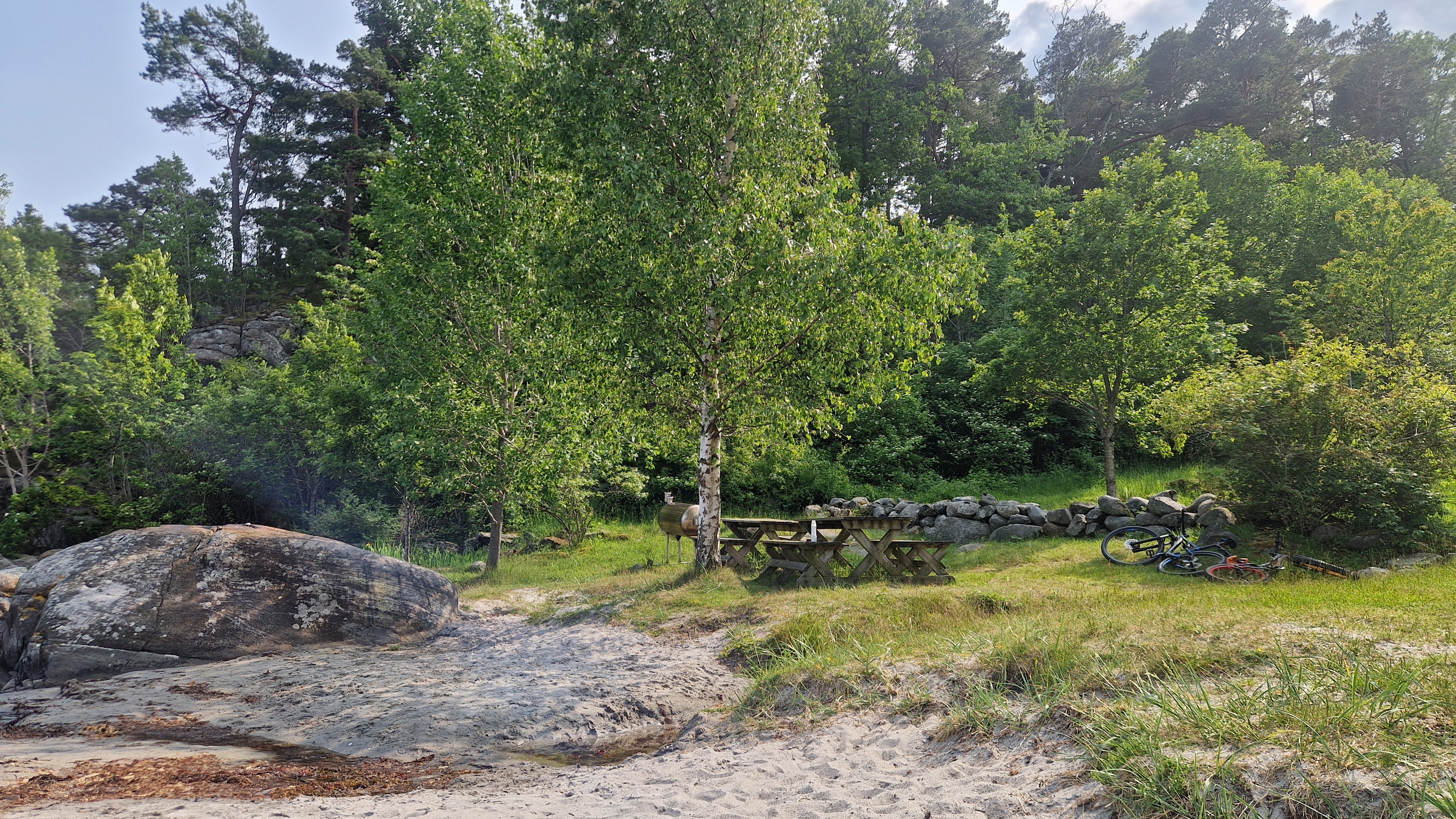Bukkeviga
