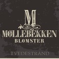 Møllebekken Blomster