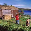 Holden fjellgård