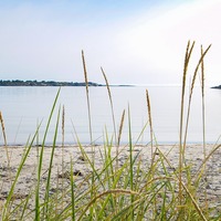 Place