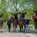 Arendal og Grimstad Rideklubb