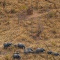 Pendjari National Park