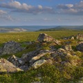 Slottet