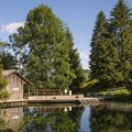 Schwandalpweiher Kneipp Spa