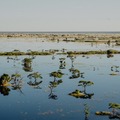 Kundelungu National Park