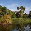 Akagera National Park