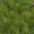 Garamba National Park