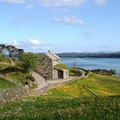 Lyngheisenteret