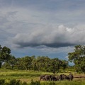 Majete Wildlife Reserve