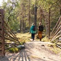 Innfallsport Gutulisjøen