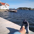Nautebakken badeplass