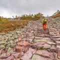 Vestertangrøysa – riksrøys 127