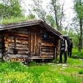 Langmyrbua