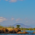 Liwonde National Park