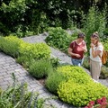 Kräutergarten Escholzmatt