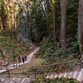 Pacific Spirit Regional Park