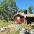 Muggsjølia