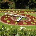 Relógio de Flores de Viña del Mar