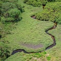 Kamiranzovu Swamp