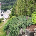 Hjelmelandsvågen