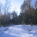 Krokhol