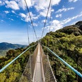 Canopy Walkway