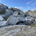 Moutmarka