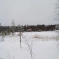 Bysetermåsan