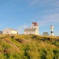 Struten fyr