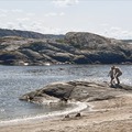 Gjøkvika