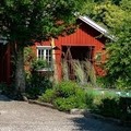 Lundbergs Planteskole