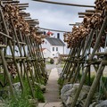 Lofoten Fyr