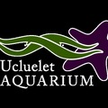 Ucluelet Aquarium