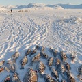 Qimussimik aalisariarneq