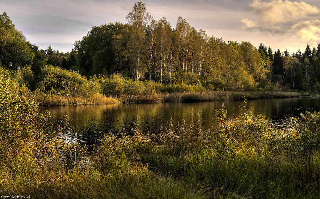 Lille Ribbervann