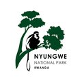 Nyungwe National Park