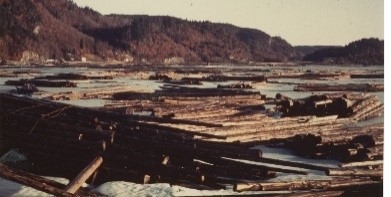 Historiekveld