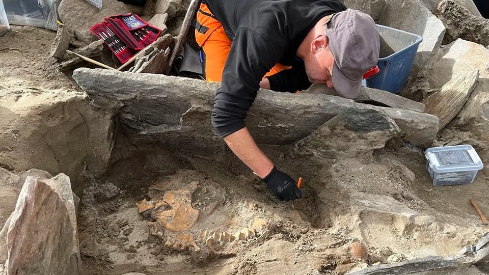 Historietimen - Den 4 000 år gamle grava på Seljesanden